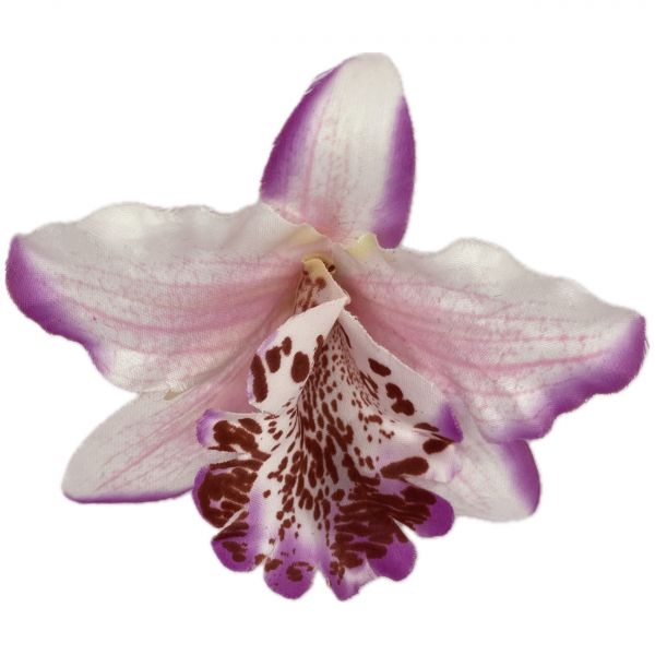Orchideen-Blüte - Haarschmuck